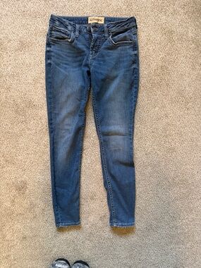 Silver Jeans Indigo Stretch Skinny Jeans